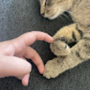 Meet your Posher, Carlos